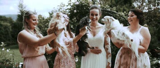 Zwariowana historia Zuzi i Tomka, ślub w Bielsku Białej w górskim otoczeniu.